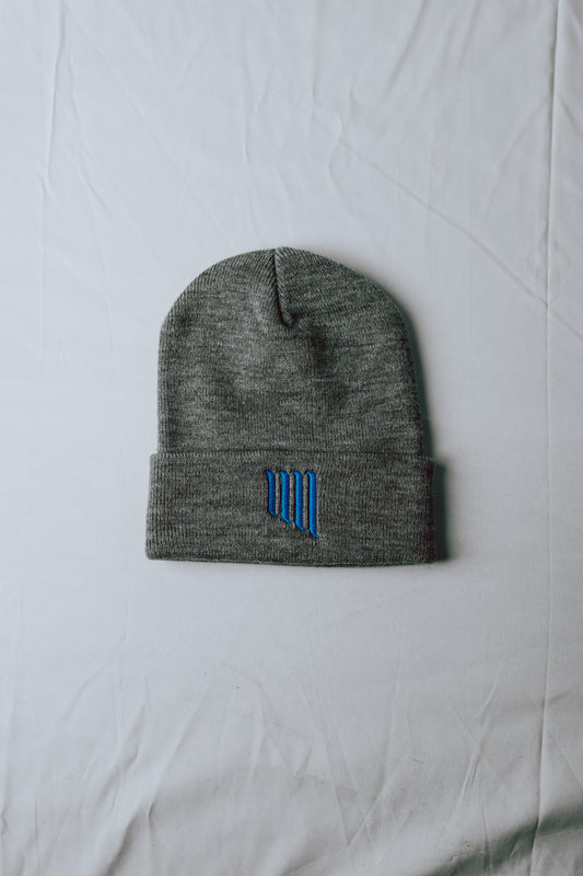 Velocity Grey EMBR Blades Beanie