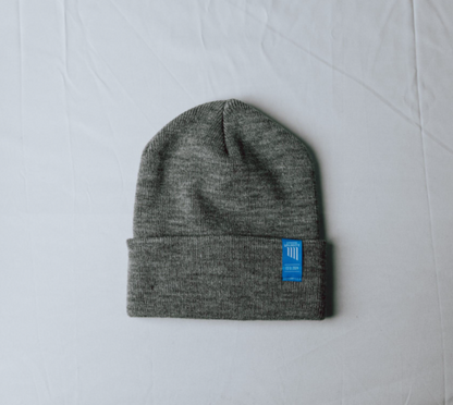 Gray Velocity Beanie Blue Label Tag